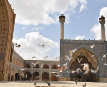 zahra-khalili-n5y_yk2GQ_E-unsplash