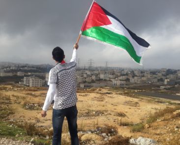 ahmed-abu-hameeda-D9lCSvUcErk-unsplash