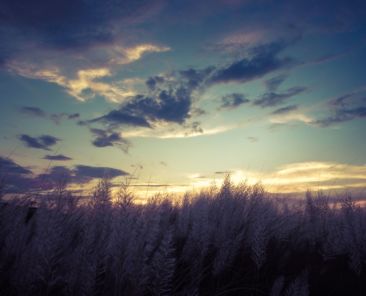 rsz_shahadat-rahman-xvgsux_bmdw-unsplash