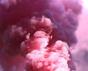 rsz_austin-chan-8nhl3oi5ewc-unsplash