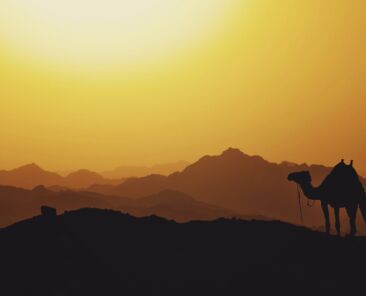 rsz_mariam-soliman-ht5xmeulydg-unsplash