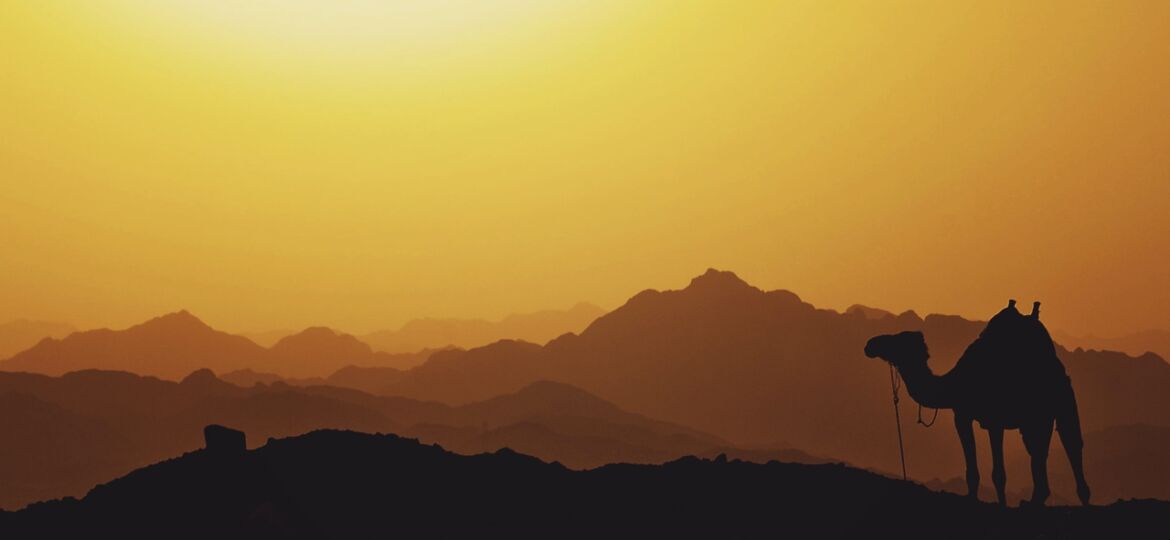 rsz_mariam-soliman-ht5xmeulydg-unsplash