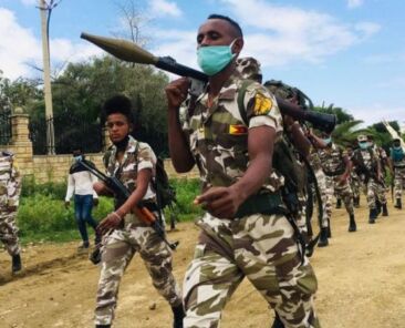 Tigray-rpg