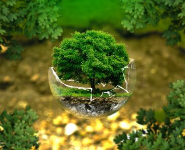 environmental-protection-326923_1920