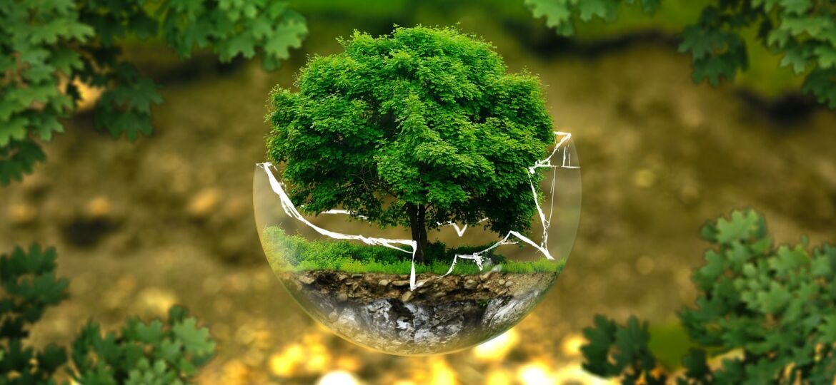 environmental-protection-326923_1920
