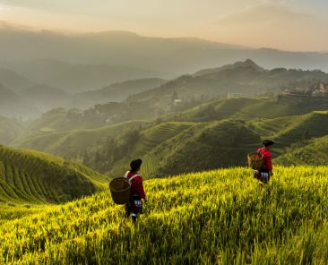 rural china