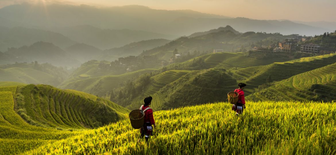 rural china
