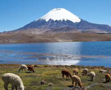 Chile_page_header_image_2560x1440_1520x744