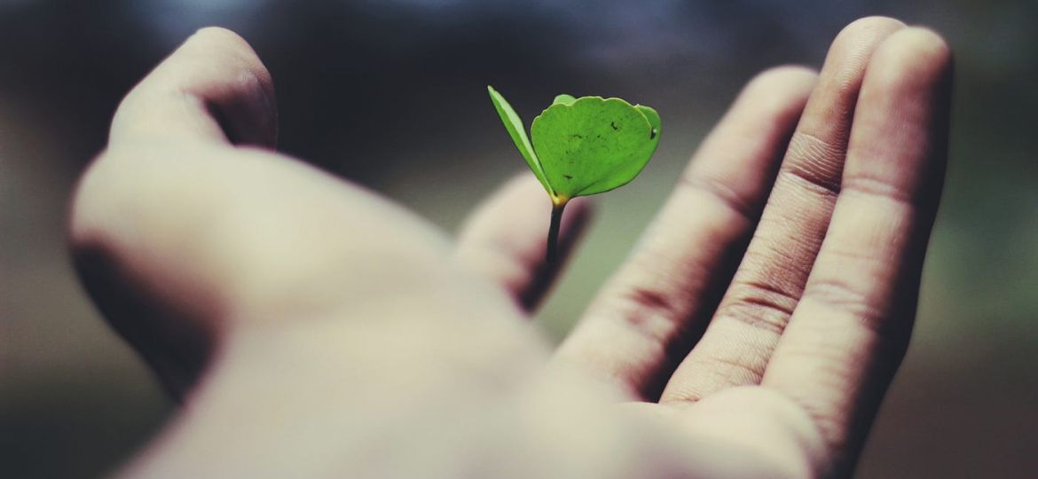 Ravi Roshan on Unsplash