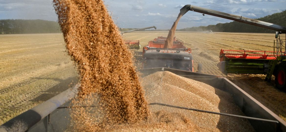 FILE PHOTO: Wheat harvest in Russia's Omsk region