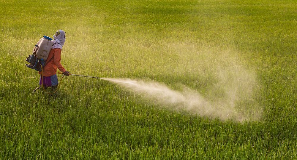 man-spray-pesticides-qczxr4q8btylvvd7iq9mjuamkl7uq7igsazzypspry