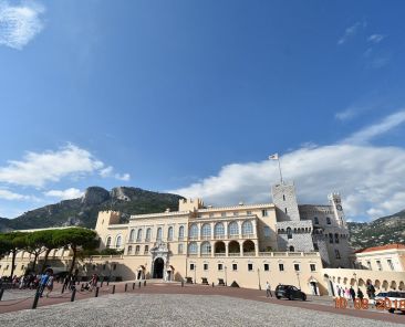 dsc-0158-1-largejpg