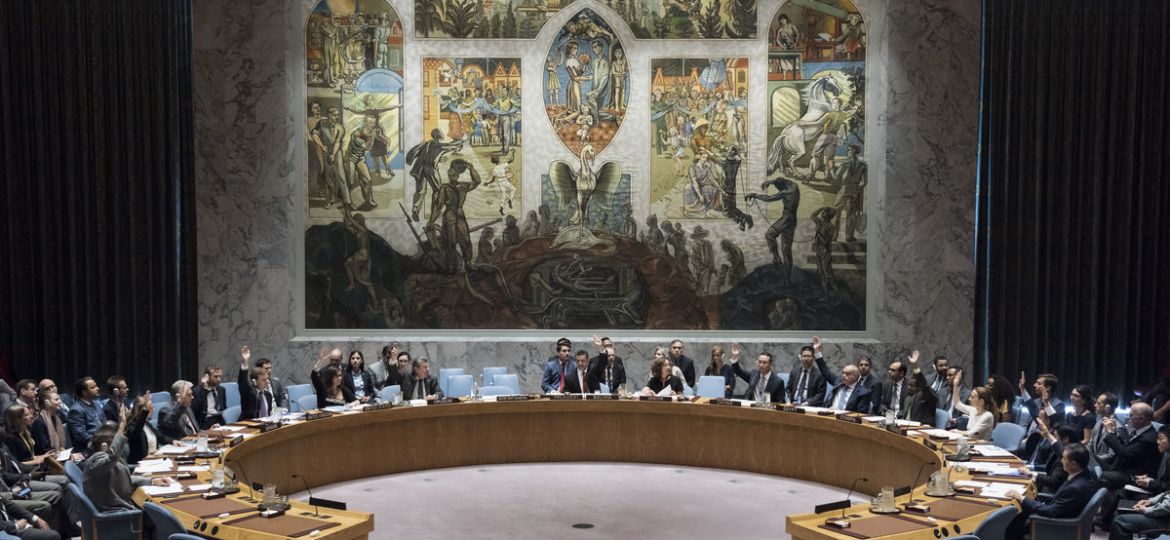 Security Council meetingMaintenance of international peace and security