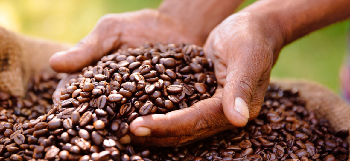 image-1200x800(35)