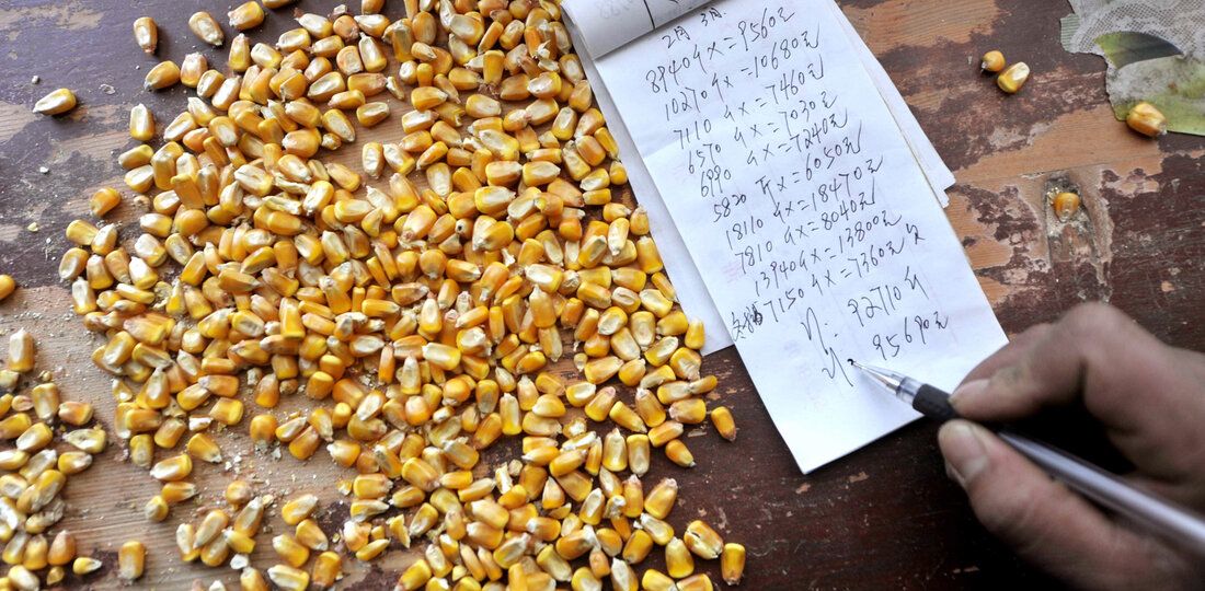 china-corn