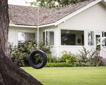Tire swing hanging in backyard