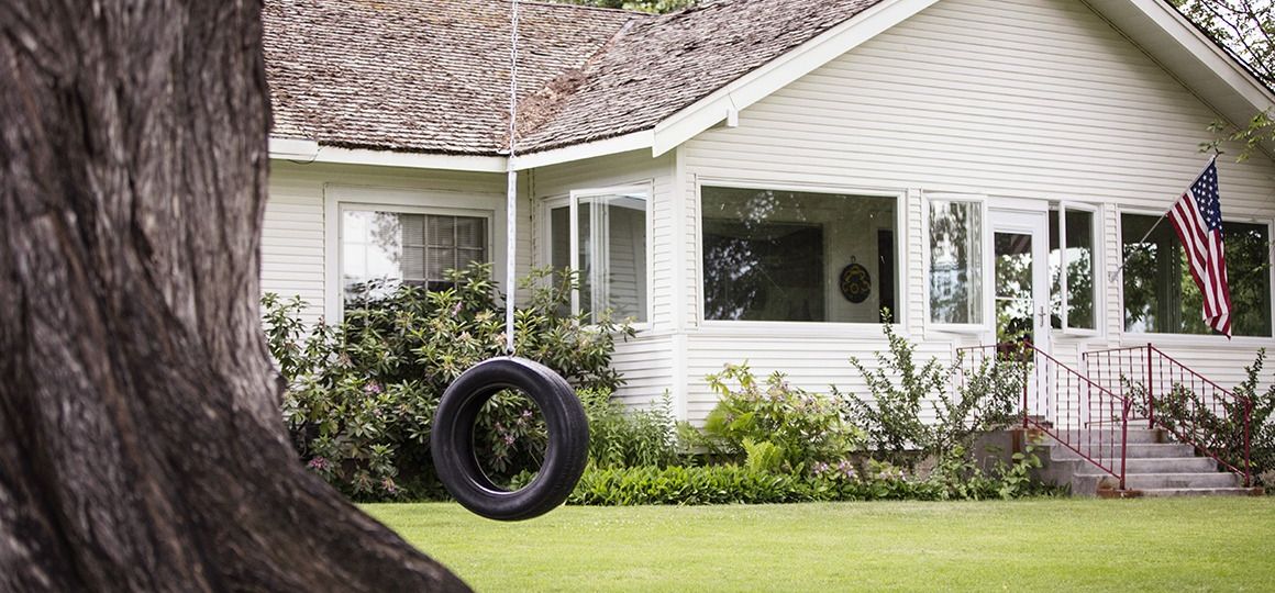 Tire swing hanging in backyard