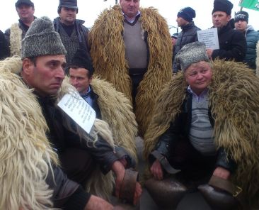 protest-ciobani