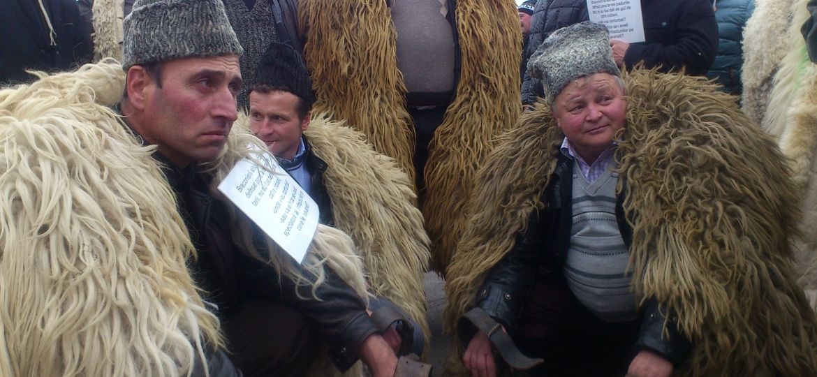 protest-ciobani